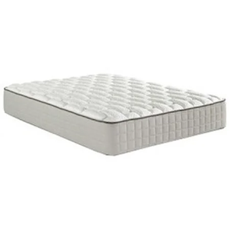 Queen 12" Plush Mattress